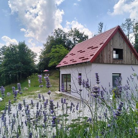Holiday Home Dreams 科巴里德 外观 照片